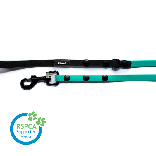 Puppy & Small Dog Long Line Lead - recommended for dogs under 5kgs