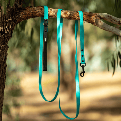 Aqua with Black Handle - Long Line Dog Lead; Washable; Light; Strong; Comfortable; Waterproof