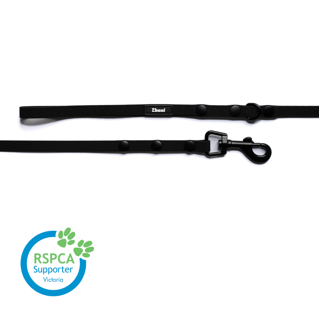 Puppy & Small Dog Long Line Lead - recommended for dogs under 5kgs