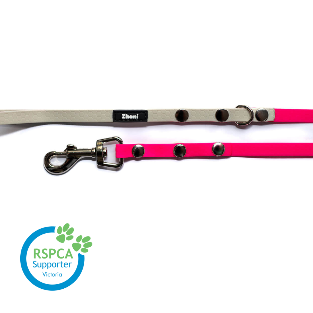 Puppy & Small Dog Long Line Lead - recommended for dogs under 5kgs