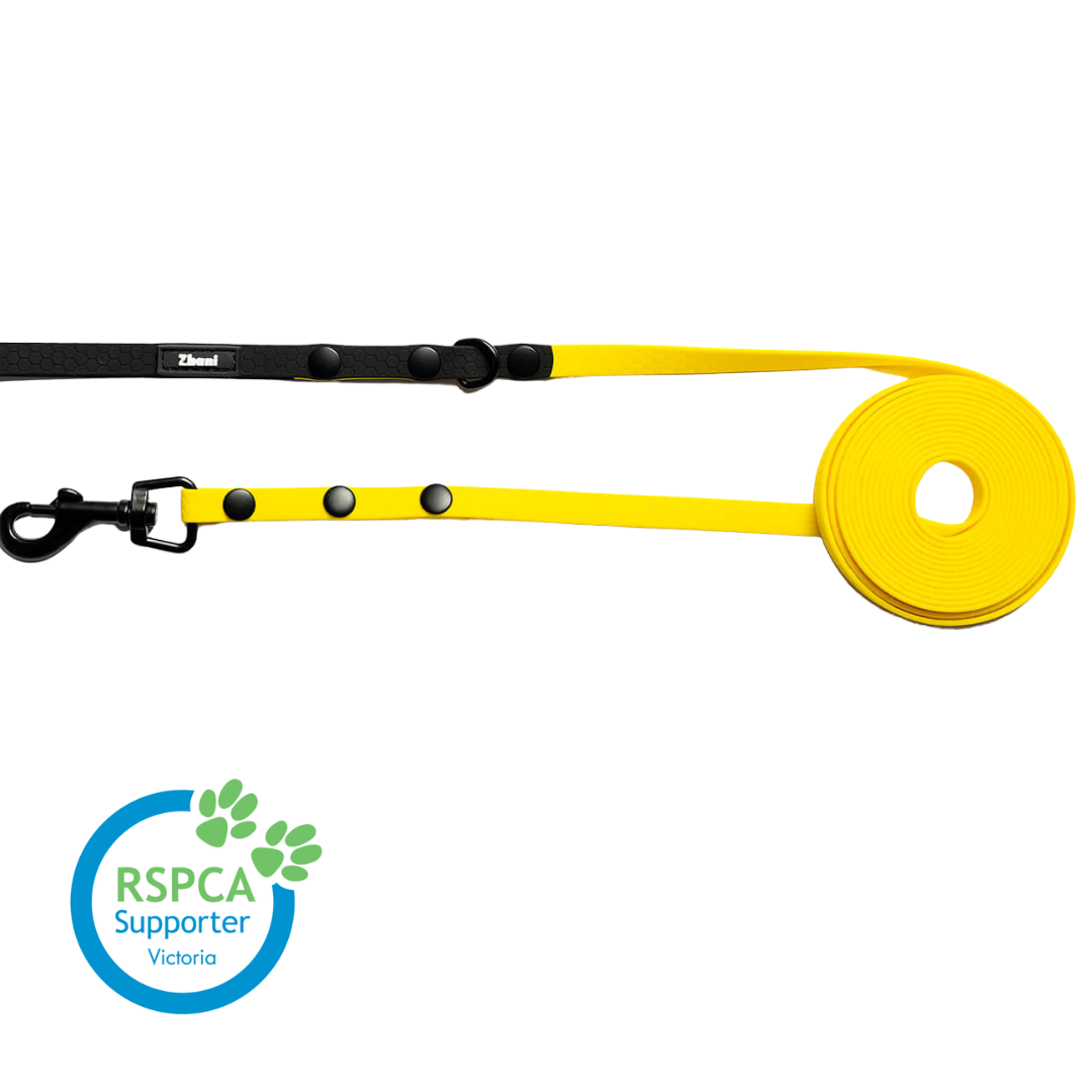 Puppy & Small Dog Long Line Lead - recommended for dogs under 5kgs